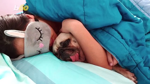 Pet Pals: Owners Cancel Plans With Friends to Hang Out With Pets! Here’s Why…