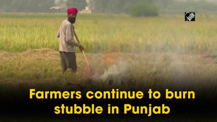 Farmers continue to burn stubble in Punjab