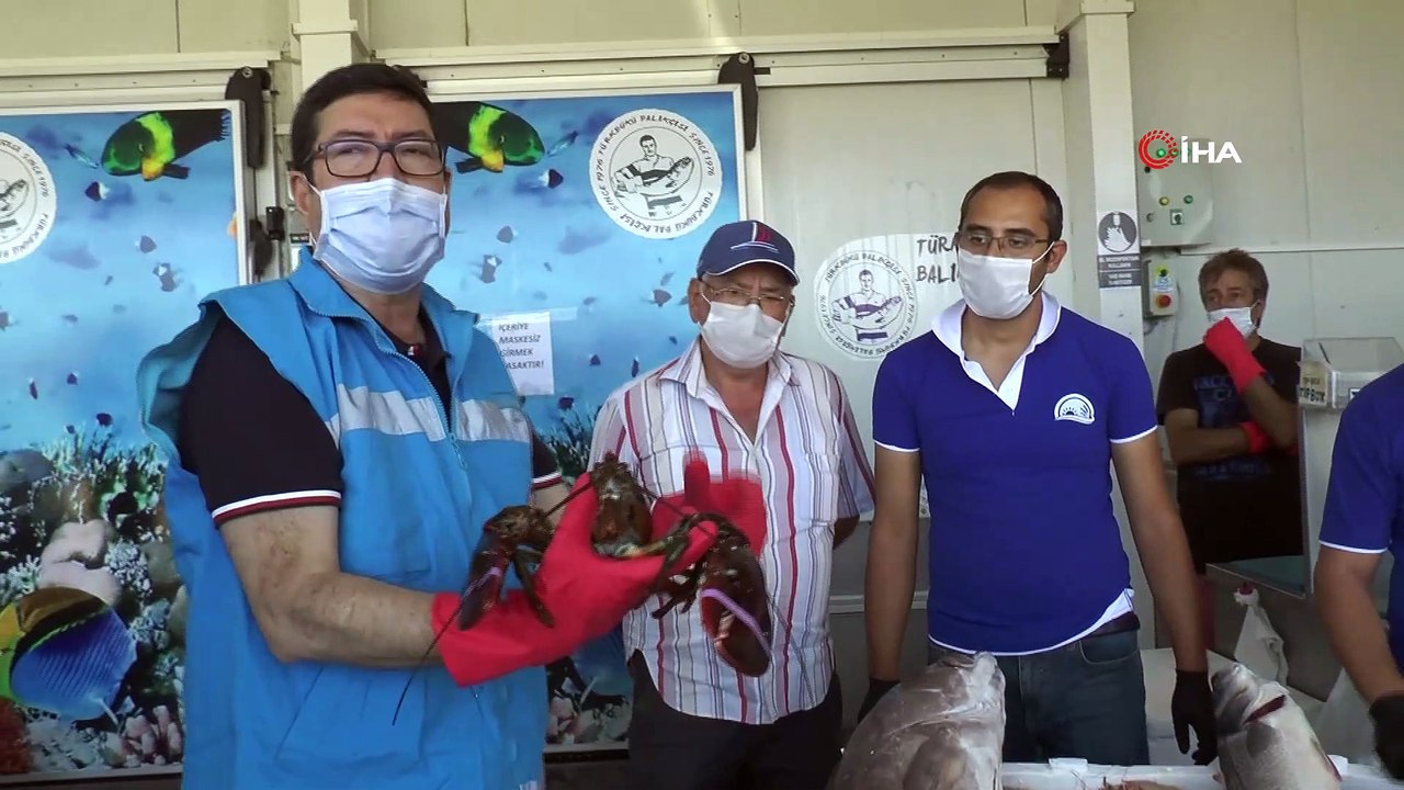 Balıkların boyları teker teker metre ile ölçüldü