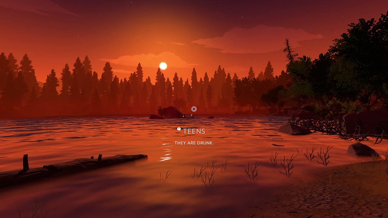 Angry  teens firewatch
