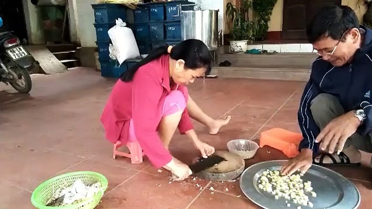 Tỏi ngâm mật ong chữa bệnh