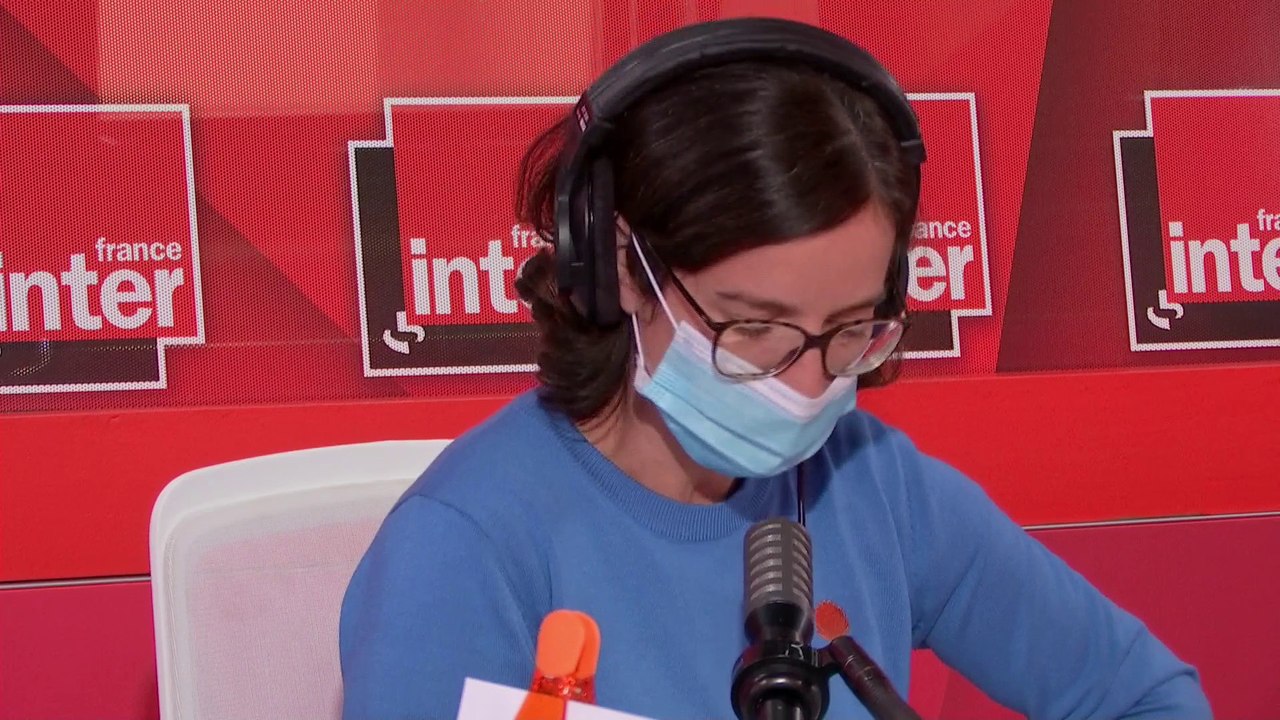 Dauphins échoués, le chalutier Scombrus et pêche durable - Camille passe au vert