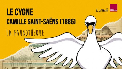 Saint-Saëns : Le Cygne - La Faunothèque