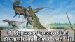 दुनिया के विशालकाय मगरमच्छ जो डायनासोर का शिकार करते थे। | Giant crocodiles  who hunted dinosaurs. | Sumit Saini IQ