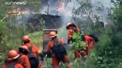 Rekord-Waldbrände wüten in Kalifornien - auch im Weinanbaugebiet Napa Valley