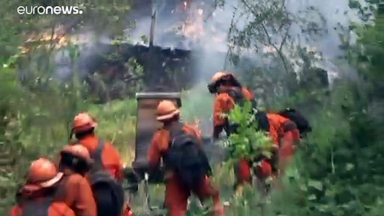 Rekord-Waldbrände wüten in Kalifornien - auch im Weinanbaugebiet Napa Valley