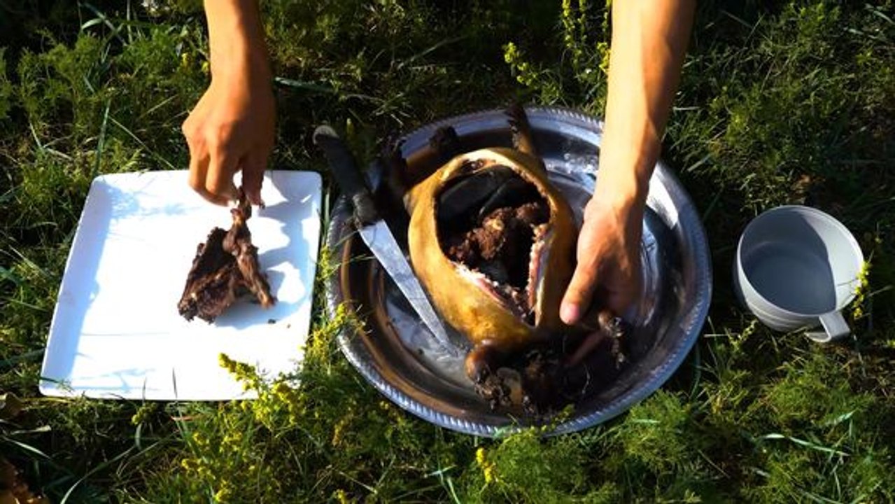 Murmeltiere sind eine Delikatesse in der Mongolei