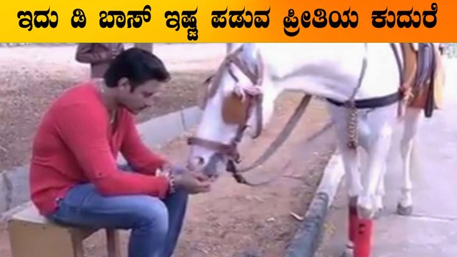 ಜಗ್ಗುದಾದನಿಗೆ ಸಾಥ್ ಕೊಟ್ಟಿದ್ದು ಈ ಪ್ರೀತಿಯ ಕುದುರೆ | Filmibeat Kannada