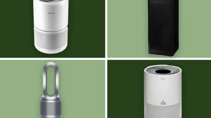 The Best Air Purifiers to Use at Home