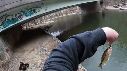 An honest review - Berkley Amp Spinning Rod