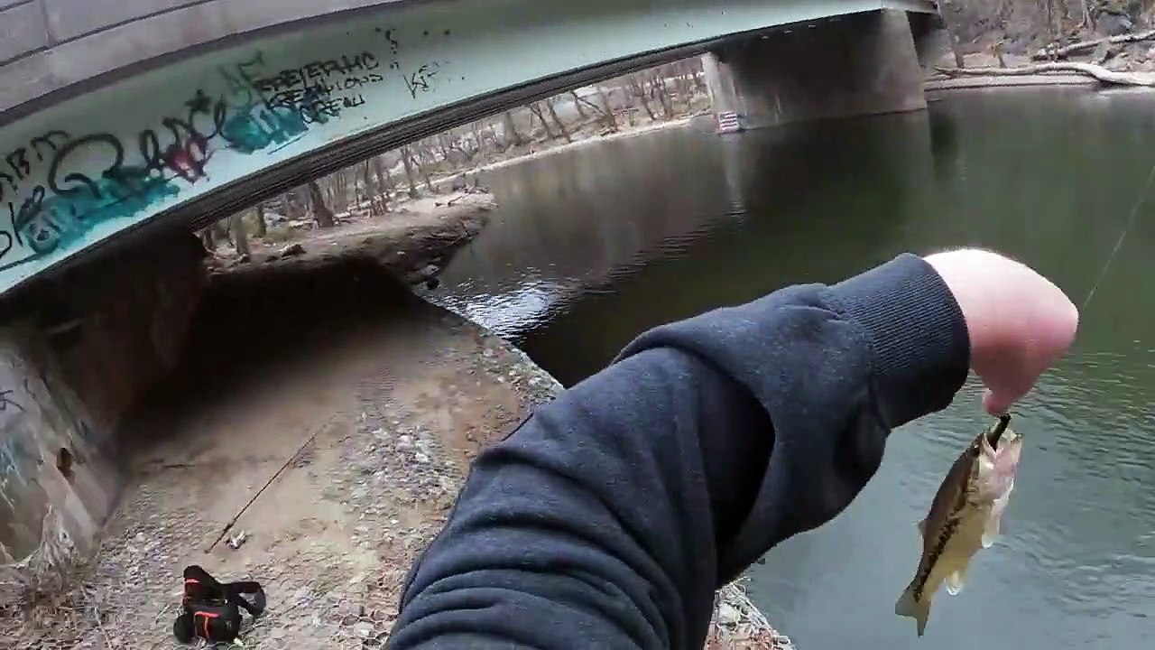 An honest review - Berkley Amp Spinning Rod