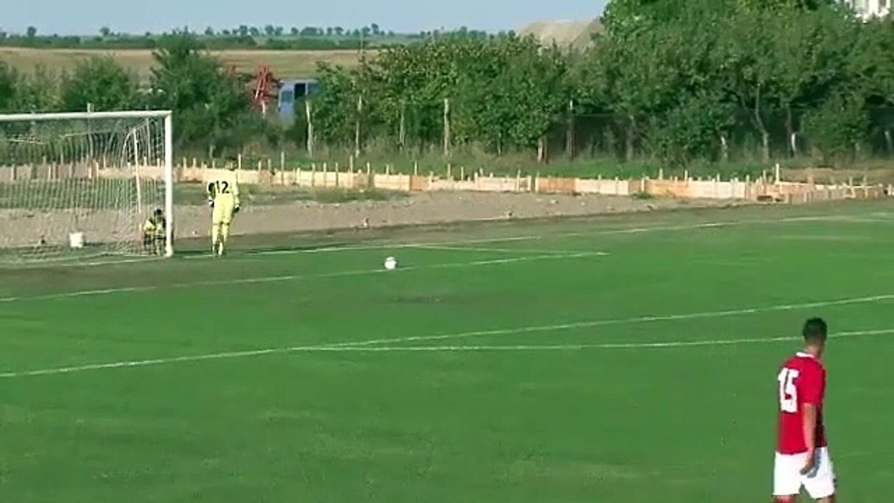Un chien vient tacler un joueur de foot en plein match