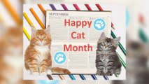 Yavapai Humane Society and Happy Cat Month