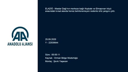 Mastar Dağı'nda çıkan örtü yangınına müdahale ediliyor - ELAZIĞ