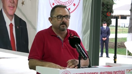 Kenevir, keten ve ısırgan tarımındaki en büyük engel ortadan kalktı