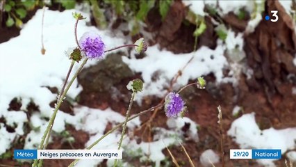 Intempéries : 5 centimètres de neige en Auvergne