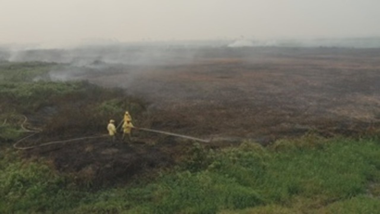 América a fondo: Por qué el Pantanal sufre los peores incendios de las últimas décadas