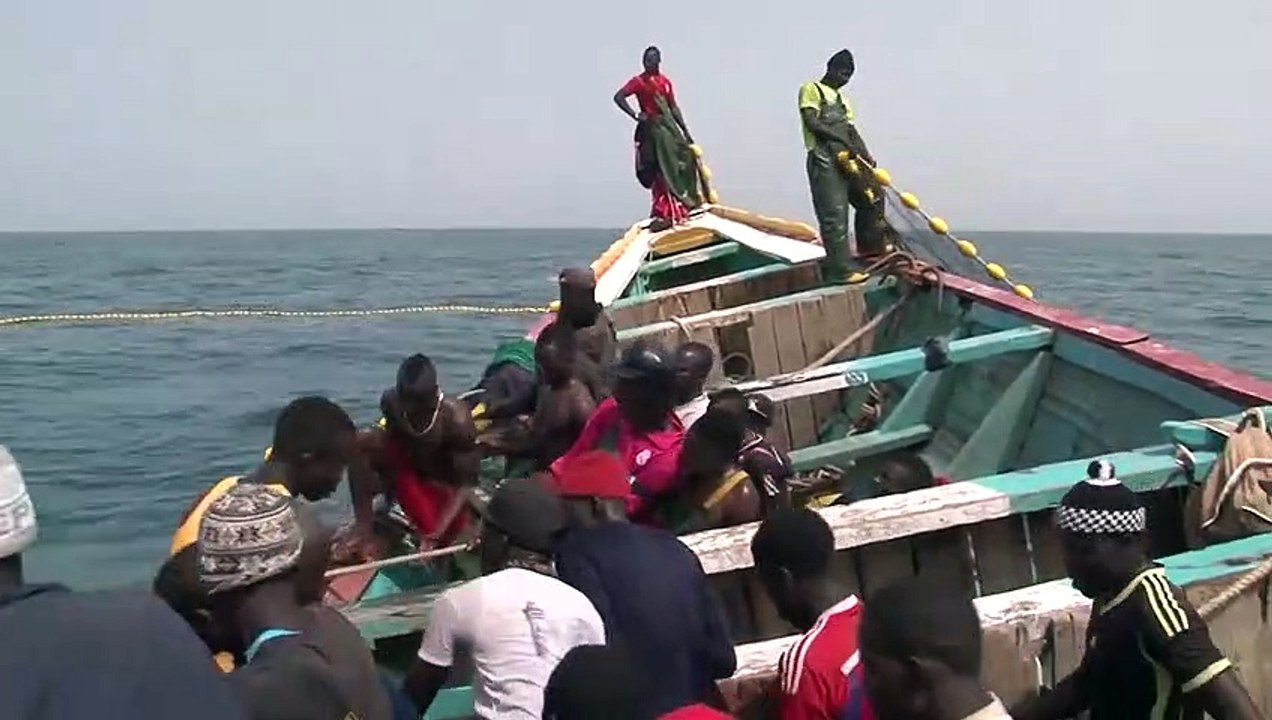 Golden Fish African Fish Documentary movie