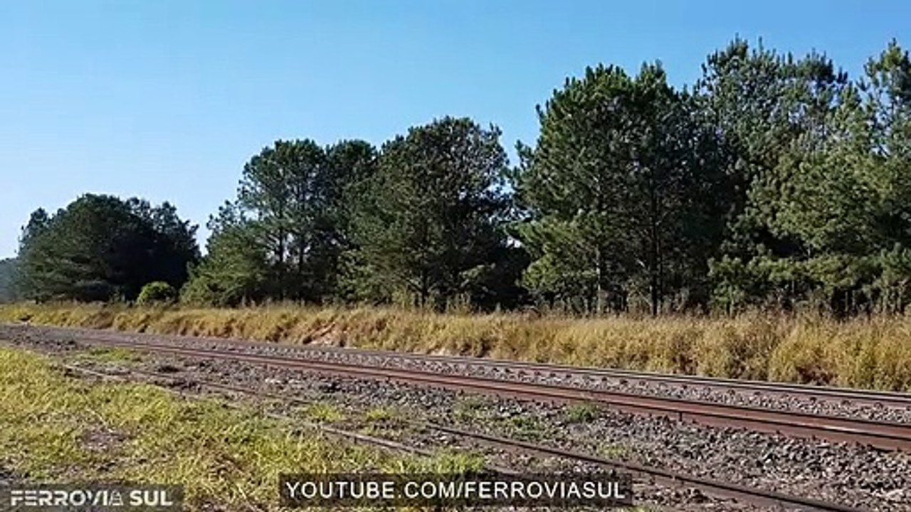TRAIN with two ALL SD40-2 locomotives in Angelo Lopes railstation