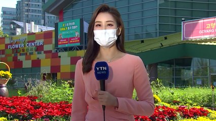 [날씨] 선선한 주말, 동해안 비...꽃박람회도 드라이브 스루 / YTN