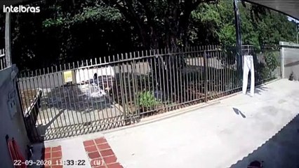 Câmera de monitoramento flagra macaco perambulando em rua do Bairro Neva