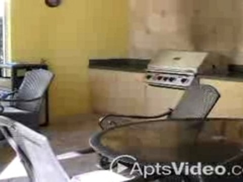 ForRent.com-Arbors at Carrollwood Apartments For Rent ...