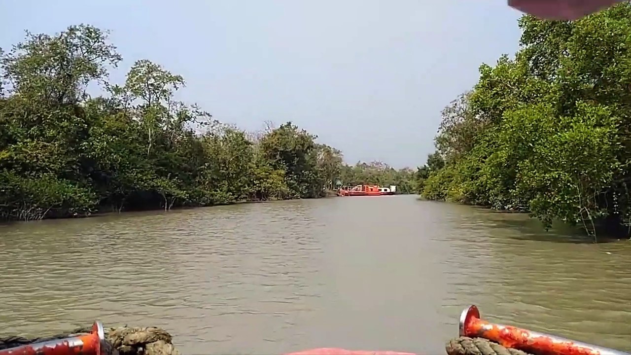 Sundarban