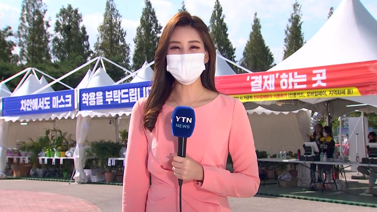 [날씨] 완연한 가을...드라이브 스루로 가을 꽃 즐겨요 / YTN