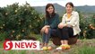 Rural China Vlog: Sichuan sisters turn to online sales for local fruits
