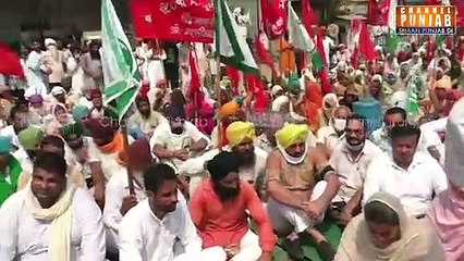 ਭਗਵੰਤ ਮਾਨ ਨੇ ਵੀ ਕਿਸਾਨਾਂ ਦੇ ਧਰਨੇ 'ਚ ਪਾਤਾ ਗਾਹ, ਹਰਸਿਮਰਤ ਬਾਦਲ ਦੀ ਕੀਤੀ ਖੜਕੈਂਤੀ, ਲਿਆਤੀ ਹਨੇਰੀ |