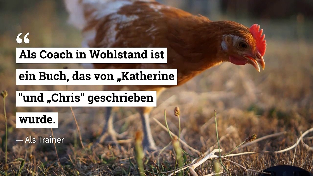 Wie Sie mit Fortune Family erfolgreich werden können