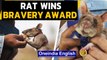 Rat wins bravery award for sniffing out ladmines in Cambodia | Oneindia News