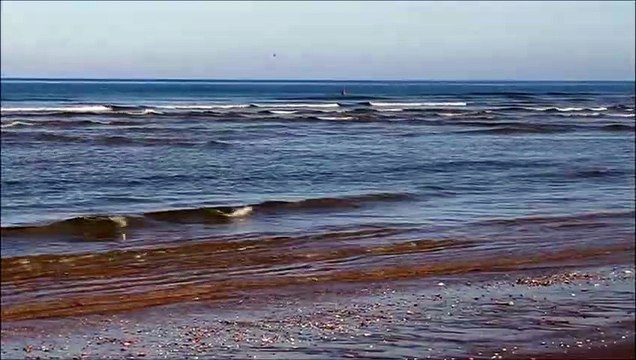 Dormir,détente,zen ,calme, bruit des vagues ,cool 45 minutes