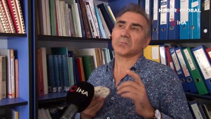 Eskişehir'de 65-200 milyon yıllık Ammonit fosilleri keşfedildi