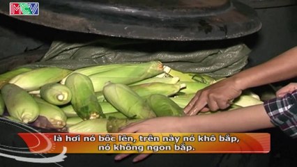 [Phóng sư] - sự thật về nghề nấu - bán bắp luộc.