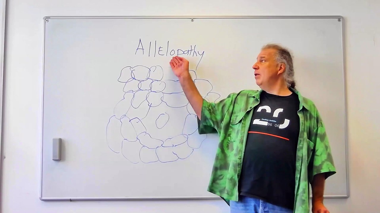 Fundamentals of Ecology 13: Alellopathy and Herbivory