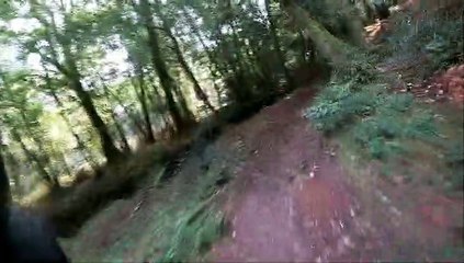 VTT forêt de Brocéliande, single de Aff