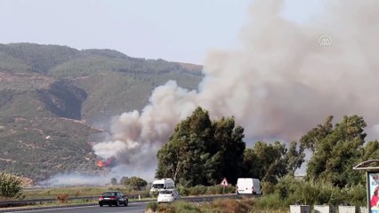 Zeytinlik ve makilik alanda çıkan yangın ormana sıçradı - AYDIN