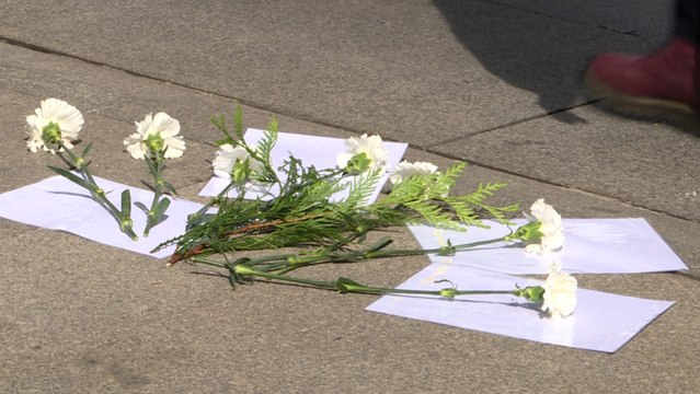 La Marea de Residencias ha recorrido las calles de Madrid