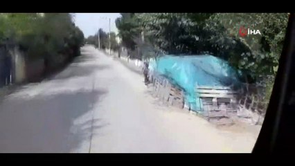 Yüksek gerilim hattının altındaki ormanlık alan alevlere teslim oldu