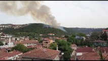 Beykoz'da ormanlık alanda yangın - İSTANBUL