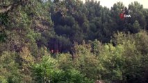 Anadolu Hisarı’ndaki orman yangınına müdahale sürüyor