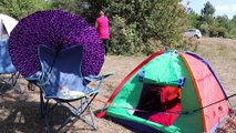 Sosyal medya üzerinden buluşan doğaseverler 'Tabiatın kalbi'nde kamp yapıyor - BOLU