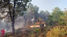 Beykoz'da ormanlık alanda yangın (4) - İSTANBUL