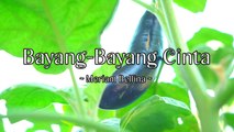 Meriam Bellina - Bayang Bayang Cinta (Official Lyric Video)