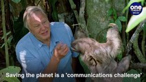 Sir David Attenborough debuts - Saving the planet via Instagram