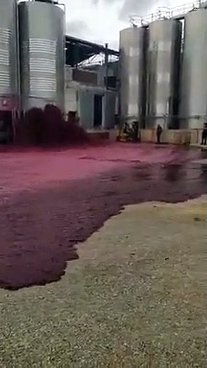 ¡Río de vino! Se derramaron miles de litros en Albacete