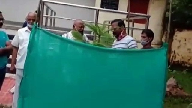 ନୟାଗଡରେ ସାହି ସବୁଜିମା । ନୟାଗଡ଼ ଖବର । c prime nees