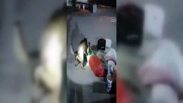 Uygulama noktasında durdurulan araçta 18 kilogram esrar ele geçirildi - KONYA