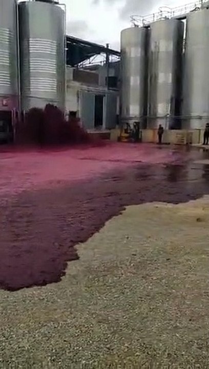 50 mil litros de vino se derraman de una bodega convitiéndose en un "río" en España